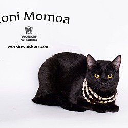 Thumbnail photo of CONI MOMOA #1