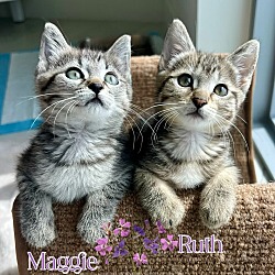 Thumbnail photo of Maggie #3