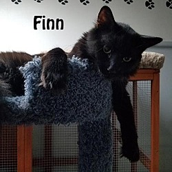 Photo of Tiny and Finn