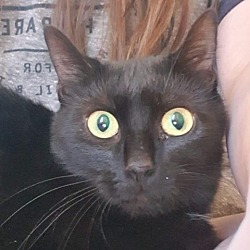 Photo of Peaches