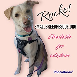 Thumbnail photo of Rocket #1