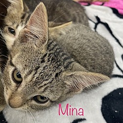 Thumbnail photo of Mina #2