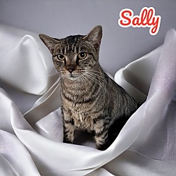 Thumbnail photo of Sally #2