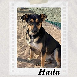 Photo of Hada