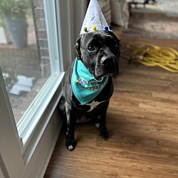 Photo of Mahle (Molly)