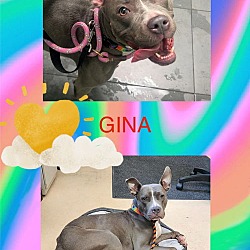 Thumbnail photo of Gina #1