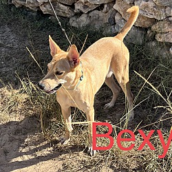 Photo of Bexy