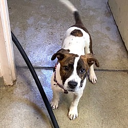 Photo of Lucky G.