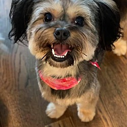 Photo of Jolene