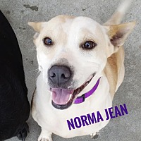 Photo of Norma Jean
