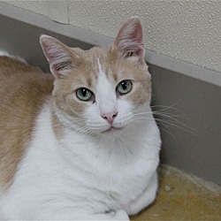 Thumbnail photo of TIMMY #4