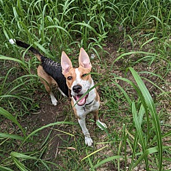 Photo of Roxy