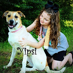 Thumbnail photo of Yipsi~adopted! #3