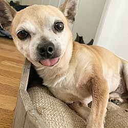 Photo of Rocko