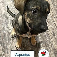 Photo of Aquarius