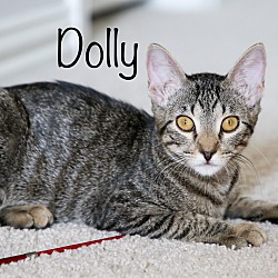 Photo of Dolly Purrton