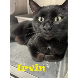 Photo of IRVIN