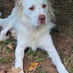 Photo of BAYLEE -LOWER FEE!!