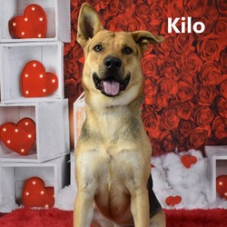 Thumbnail photo of Kilo #1