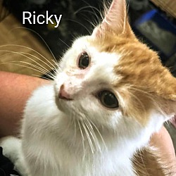 Thumbnail photo of Ricky #1