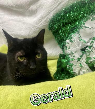 Thumbnail photo of Gerald #2