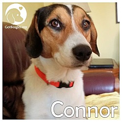 Thumbnail photo of Connor #1