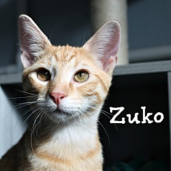 Photo of Zuko