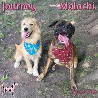 Photo of Malachi & Journey
