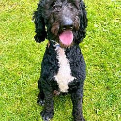 Photo of Archer