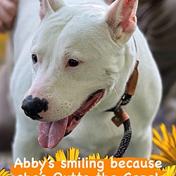 Photo of Abby