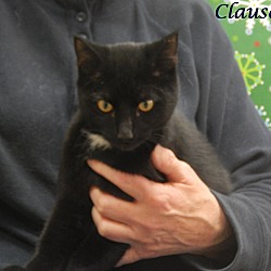 Thumbnail photo of Clause #1
