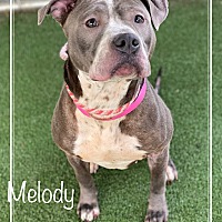 Photo of MELODY - see video