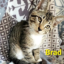Thumbnail photo of Brad #3