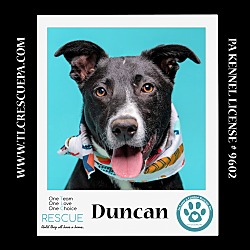 Thumbnail photo of Duncan (Cocoa Krispies) 020324 #1