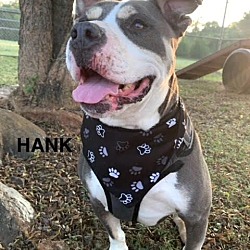 Thumbnail photo of Hank #4