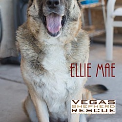 Thumbnail photo of Ellie Mae #2