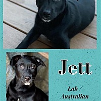 Photo of Jett