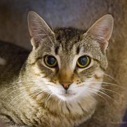 Photo of Barnie 01-25-14