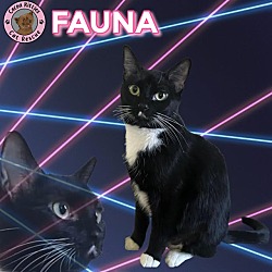 Thumbnail photo of Fauna #1