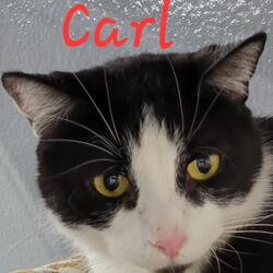Photo of Carl