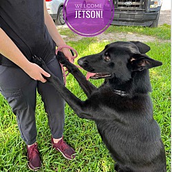 Thumbnail photo of Jetson #1