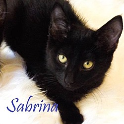 Thumbnail photo of Sabrina #1