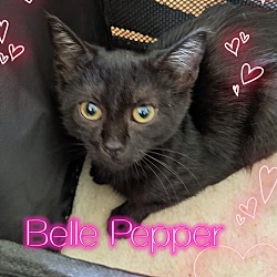 Photo of Belle Pepper