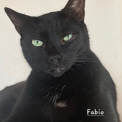Photo of Fabio