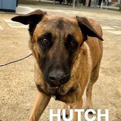 Thumbnail photo of Hutch #3