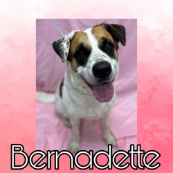Thumbnail photo of Bernadette #1
