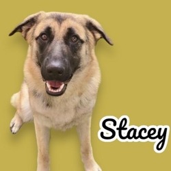 Thumbnail photo of Stacey #2