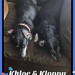 Photo of Khloe & Kloppy
