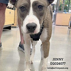 Thumbnail photo of Jenny #1