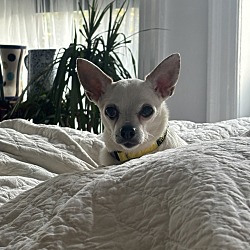 Thumbnail photo of Winnie #4